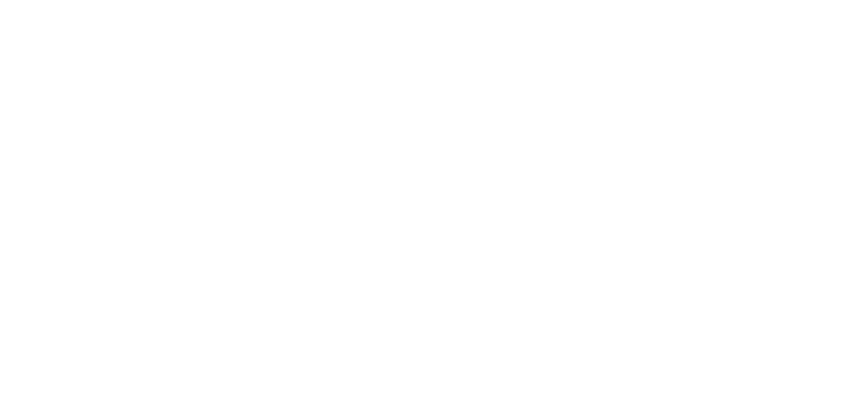 the next level camp logo